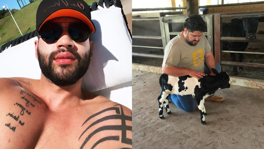 Gusttavo Lima faz apelo para ganhar mini vaca de Cesar Menotti: "Que Deus toque no seu coração"  