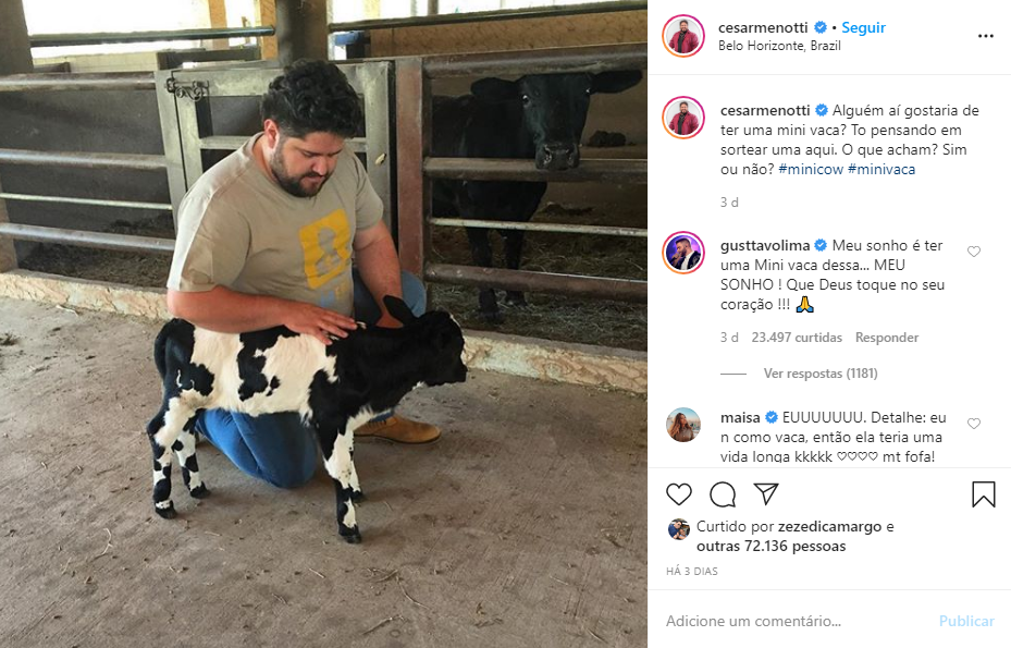 Gusttavo Lima faz apelo para ganhar mini vaca de Cesar Menotti: "Que Deus toque no seu coração"  