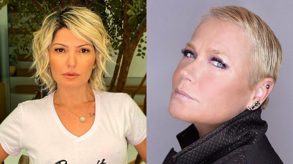 Fontenelle desabafa contra Xuxa após apresentadora defender Felipe Neto: "Acaba de perder o meu respeito" Fontenelle desabafa contra Xuxa após apresentadora defender Felipe Neto: "Acaba de perder o meu respeito"