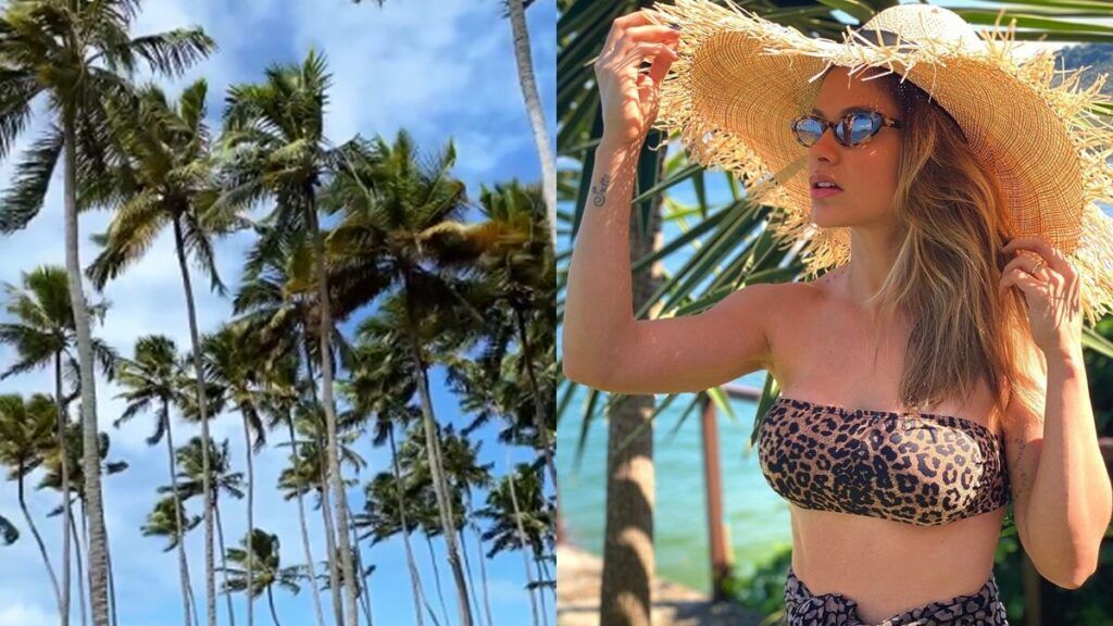 Andressa Suita mostra praia paradisíaca antes da live de Gusttavo Lima: "Que dia lindo" Andressa Suita mostra praia paradisíaca antes da live de Gusttavo Lima: "Que dia lindo"