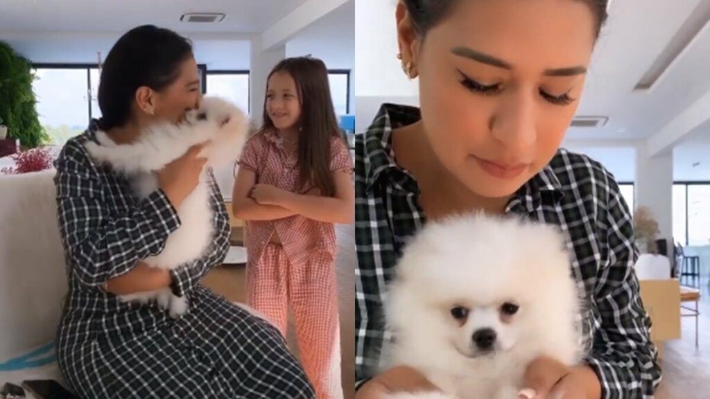 Simone se derrete por cachorro de estimação de Simaria: "Vim pra brincar mais tu" Simone se derrete por cachorro de estimação de Simaria: "Vim pra brincar mais tu"