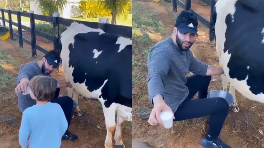 Na fazenda, Gusttavo Lima ordenha vaca e oferece leite para o filho: "Gostoso" Na fazenda, Gusttavo Lima ordenha vaca e oferece leite para o filho: "Gostoso"