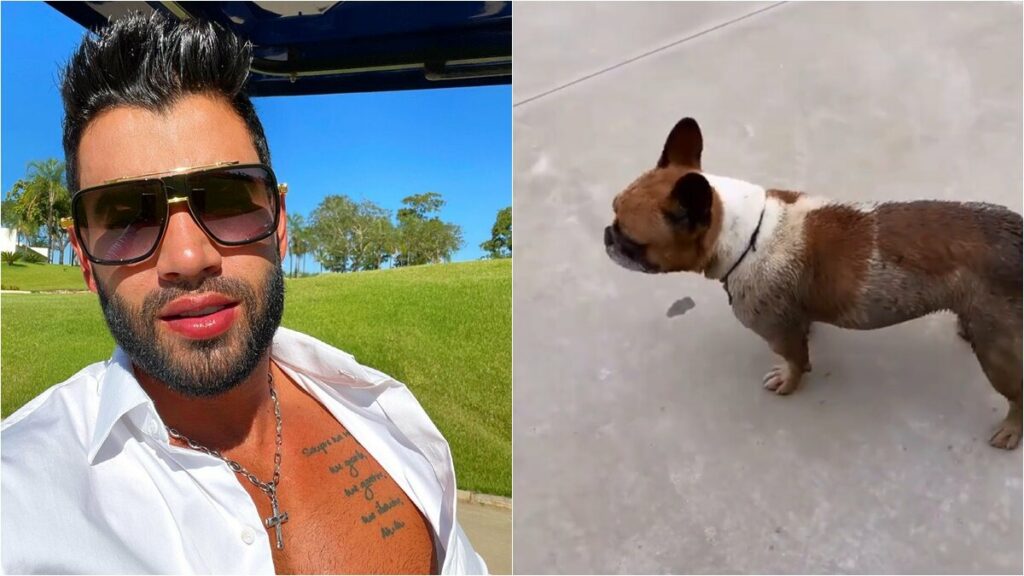 Cachorra de Gusttavo Lima e Andressa Suita toma banho de lama e ganha apelido Cachorra de Gusttavo Lima e Andressa Suita toma banho de lama e ganha apelido