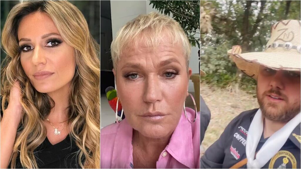 Xuxa e Luisa Mell criticam Zé Neto por usar burro para pagar promessa; Cantor se defende Xuxa e Luisa Mell criticam Zé Neto por usar burro para pagar promessa; Cantor se defende